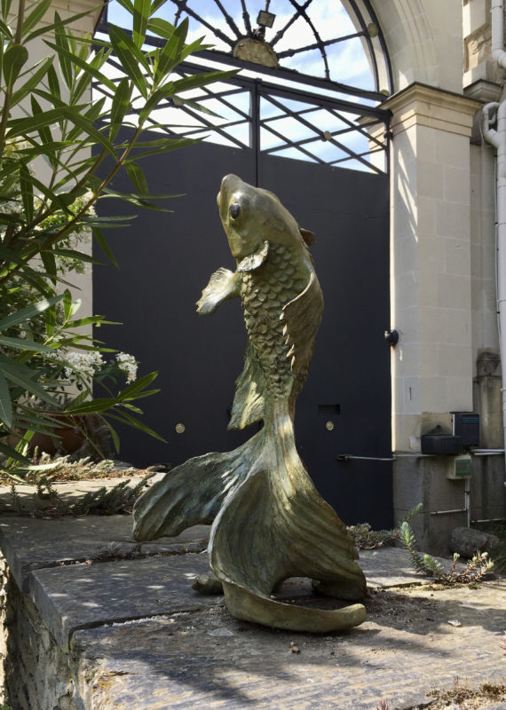 fish in the garden